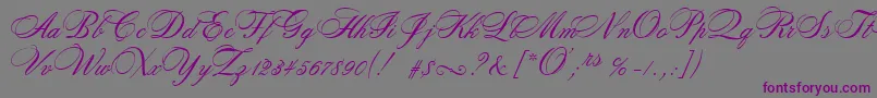 Шрифт RosamundaTwo – фиолетовые шрифты на сером фоне