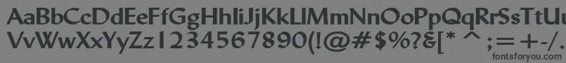 LyndaWideBold-Schriftart – Schwarze Schriften auf grauem Hintergrund