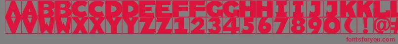 Rememberscribbledtypes Font – Red Fonts on Gray Background