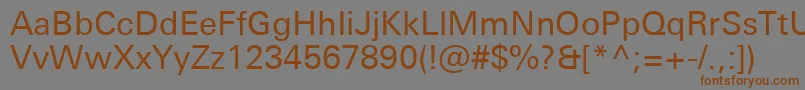 Подробнее о шрифте UniversNextProRegular Шрифт UniversNextProRegular – коричневые шрифты на сером фоне