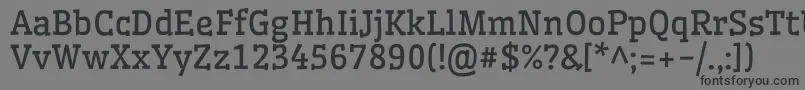 WellfleetRegular Font – Black Fonts on Gray Background