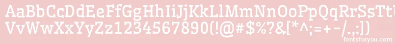 WellfleetRegular Font – White Fonts on Pink Background