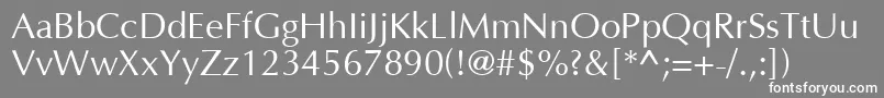 OptimaCyr Font – White Fonts on Gray Background