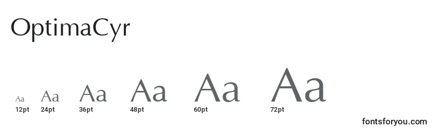 OptimaCyr Font Sizes
