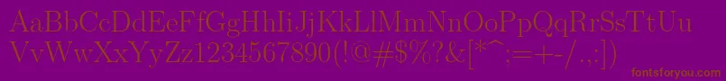Lmroman17Regular Font – Brown Fonts on Purple Background