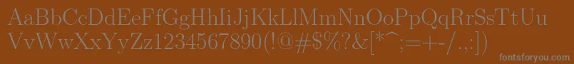 Lmroman17Regular Font – Gray Fonts on Brown Background