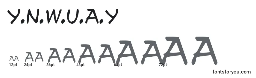 Y.N.W.U.A.Y Font Sizes