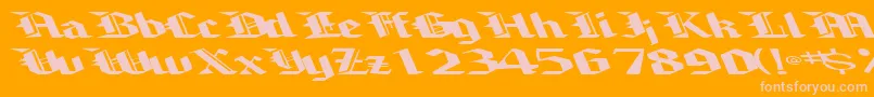 Brawnyarmslight99RegularTtext Font – Pink Fonts on Orange Background