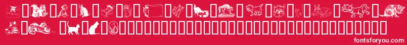 Cattart Font – White Fonts on Red Background