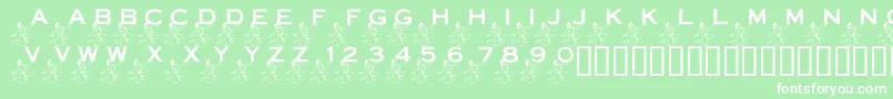 LmsPowerInYourCornerNow Font – White Fonts on Green Background