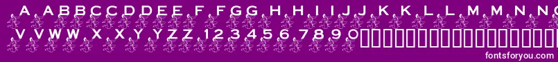 フォントLmsPowerInYourCornerNow – 紫の背景に白い文字