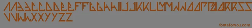 Thetrainingartist Font – Brown Fonts on Gray Background