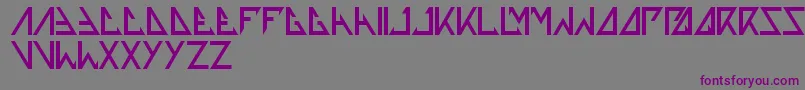 フォントThetrainingartist – 紫色のフォント、灰色の背景