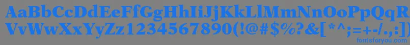 Шрифт OrchidBlackSsiBlack – синие шрифты на сером фоне