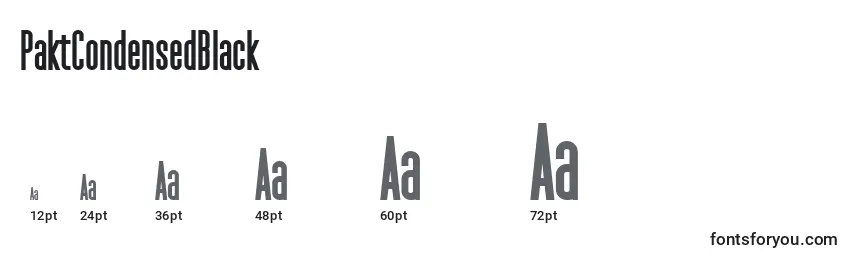 PaktCondensedBlack Font Sizes