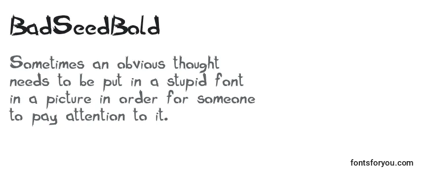 BadSeedBold Font