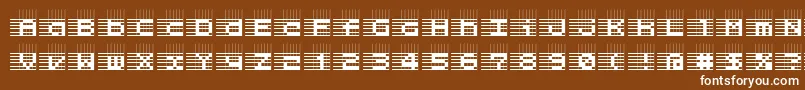 L25 Font – White Fonts on Brown Background