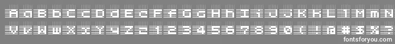 フォントL25 – 灰色の背景に白い文字