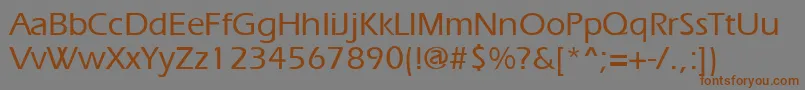 ErgoemediumRegular Font – Brown Fonts on Gray Background