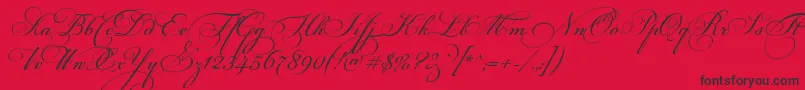 FloriselScriptThin-Schriftart – Schwarze Schriften auf rotem Hintergrund