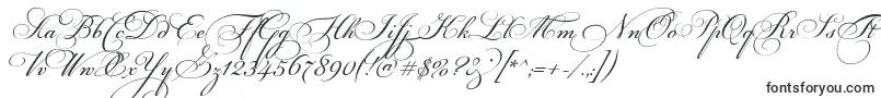 Шрифт FloriselScriptThin – шрифты с вензелями (монограмма)
