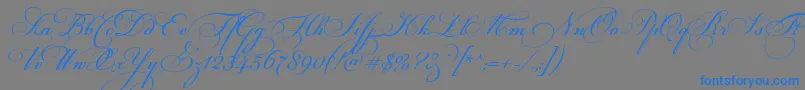 fuente FloriselScriptThin – Fuentes Azules Sobre Fondo Gris