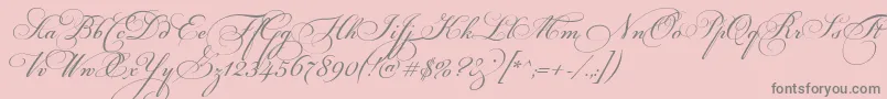 FloriselScriptThin-Schriftart – Graue Schriften auf rosa Hintergrund