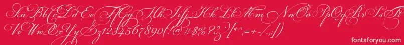 FloriselScriptThin Font – Pink Fonts on Red Background