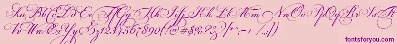 FloriselScriptThin Font – Purple Fonts on Pink Background