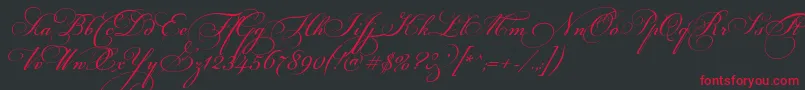 FloriselScriptThin Font – Red Fonts on Black Background