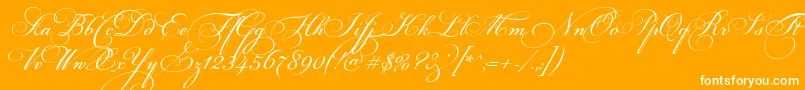 FloriselScriptThin-Schriftart – Weiße Schriften auf orangefarbenem Hintergrund