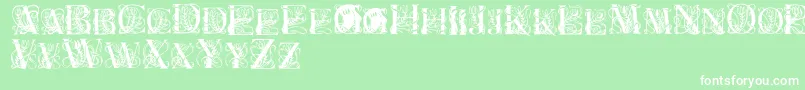 ElzevierRegular Font – White Fonts on Green Background