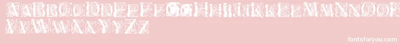 ElzevierRegular-Schriftart – Weiße Schriften auf rosa Hintergrund