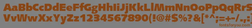 PfsyntaxUltrablack Font – Brown Fonts on Gray Background