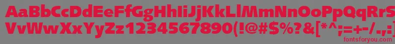 PfsyntaxUltrablack Font – Red Fonts on Gray Background