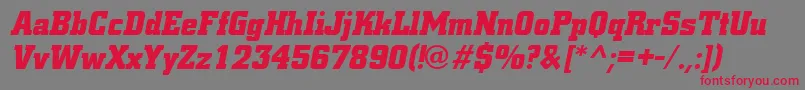 CityBoldItalic Font – Red Fonts on Gray Background