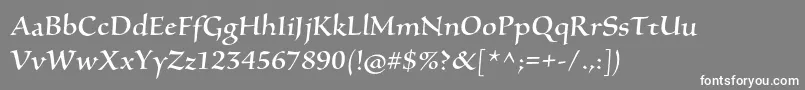 SilentiumproRomanii Font – White Fonts on Gray Background