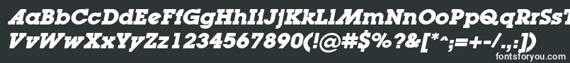 LugaadBoldOblique Font – White Fonts on Black Background