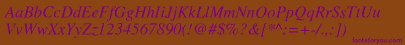 TimesItalic Font – Purple Fonts on Brown Background