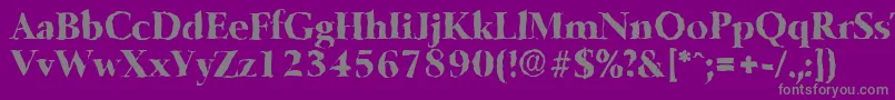 BelfastrandomXboldRegular Font – Gray Fonts on Purple Background