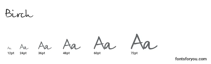 Birch Font Sizes