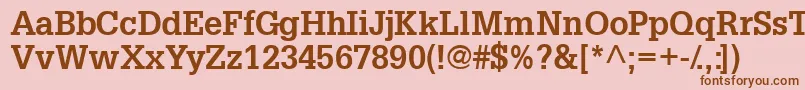 InstallationsskBold Font – Brown Fonts on Pink Background