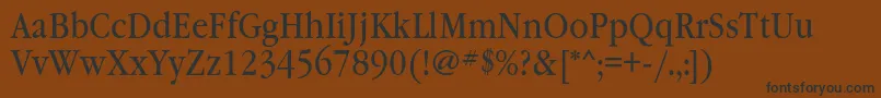 Garamondbooknarrowc Font – Black Fonts on Brown Background