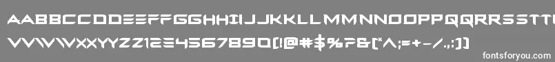 Ferretfacebold-Schriftart – Weiße Schriften auf grauem Hintergrund