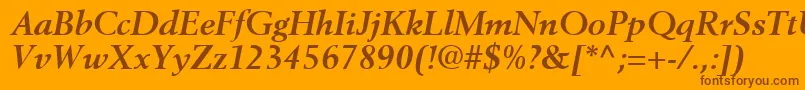 CortexSsiBoldItalic Font – Brown Fonts on Orange Background