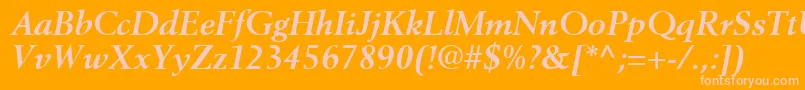 CortexSsiBoldItalic Font – Pink Fonts on Orange Background