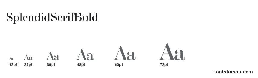 Размеры шрифта SplendidSerifBold