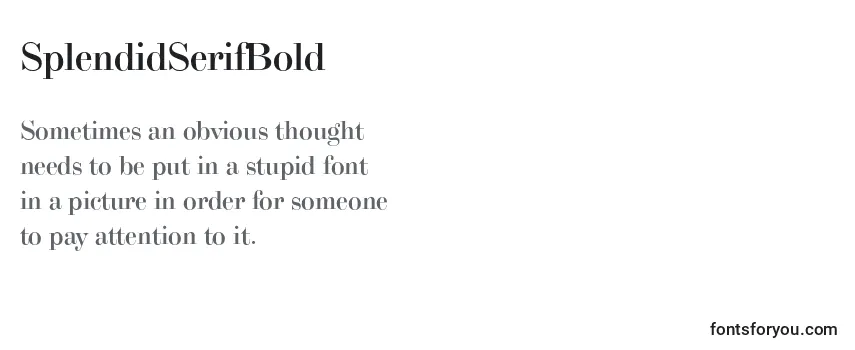 SplendidSerifBold Font