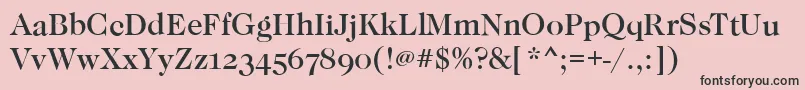 CaslonOsfMediumRegular Font – Black Fonts on Pink Background