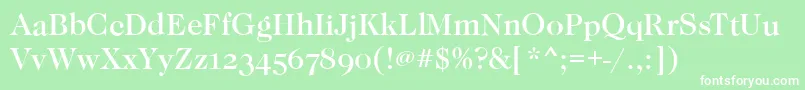 CaslonOsfMediumRegular Font – White Fonts on Green Background